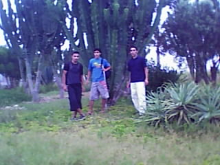 les fils de ma tant